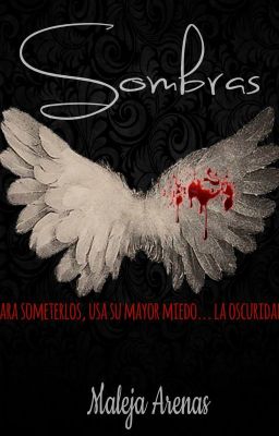 SOMBRAS (Entre el Cielo y el Infierno #2)