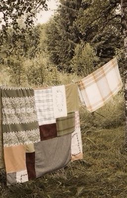 SOMEONE TO REMEMBER ✴︎ the maze runner ¹