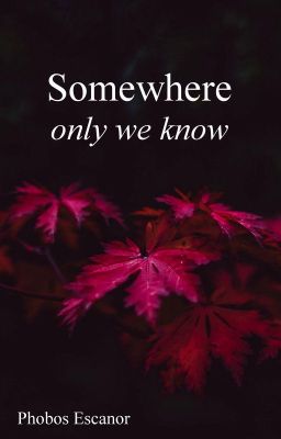 Somewhere Only We Know