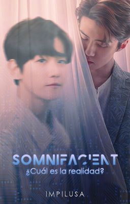 Somnifacient ✦ SeBaek