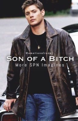 Son of a Bitch -- More SPN Imagines