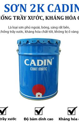 Sơn phủ bóng 2K Cadin cho gỗ bền đẹp