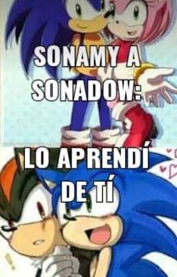 SonAmy a SonAdow: Lo aprendí de tí 