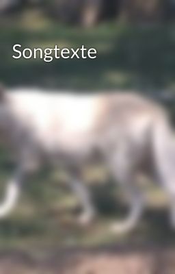 Songtexte