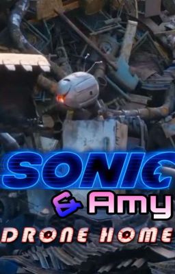 Sonic & Amy:Drone Home 