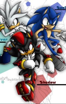 Sonic boys X reader (7 minutes in heaven one shots )