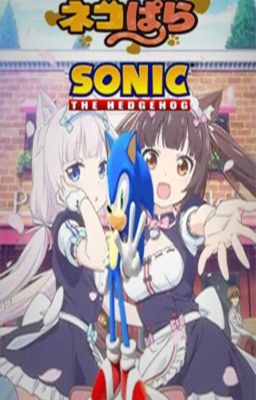 Sonic En Nekopara