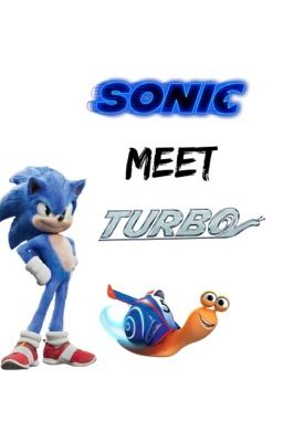 Sonic Meets Turbo