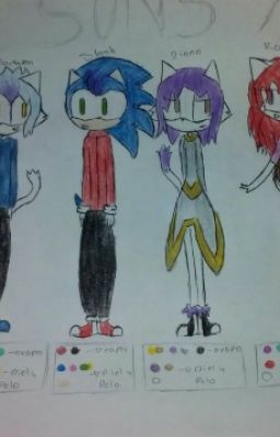 Sonic Sons X, Los Hijos Del Sonic Team