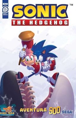 Sonic The Hedgehog's 900th Adventure [Traducido]