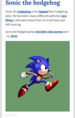 Sonic The Hedgehog: What A Hedgehog Can Survive