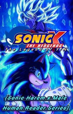 SONIC THE HEDGEHOG X: The Legend of Y/N (Sonic Harem x Male Human Reader Series)