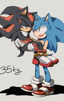 sonic x shadow Chỉ là những oneshot nhảm vì tôi lười lấp:)