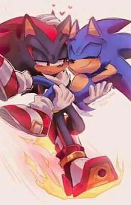 SONIC X SHADOW (SONADOW)