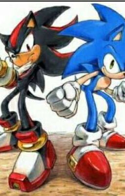 SONIC Y SHADOW AL RESCATE (un inicio del sonadow) Terminada