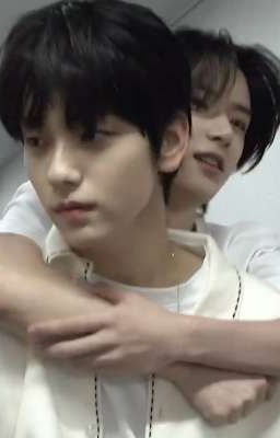 [Soogyu] textfic mi nơ 