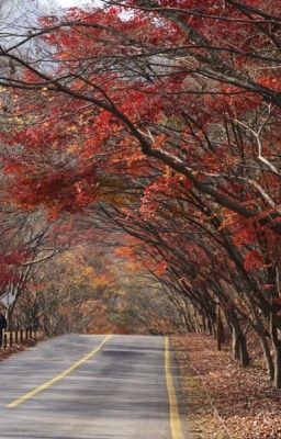 [SOOJUN] Những ngày không có em