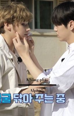 [Sookai]_Không phải Alpha?