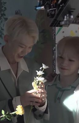 |SOONHOON| 1000 ngôi sao giấy