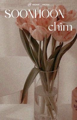 soonhoon | chìm