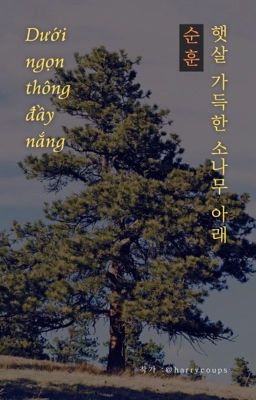 Soonhoon | Dưới ngọn thông đầy nắng