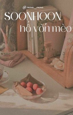 soonhoon | hổ vờn mèo