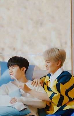 [ soonhoon ] Này ngốc! Tôi thích cậu