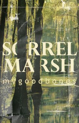 SORRELMARSH | short stories