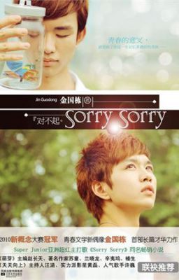 Sorry Sorry_Kim Quốc Đống