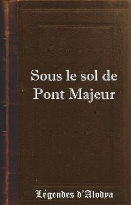 Sous le sol de Pont Majeur