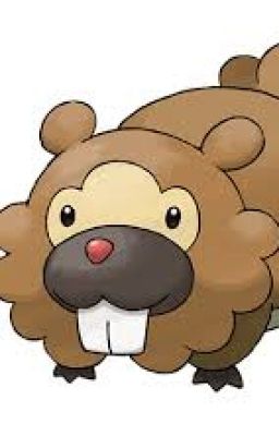 Soy un Bidoof