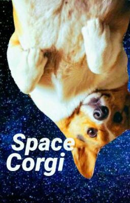 ★·.·Space Corgi·.·★