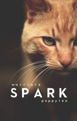 Spark { Warrior Cats Fanfiction ; Complete }