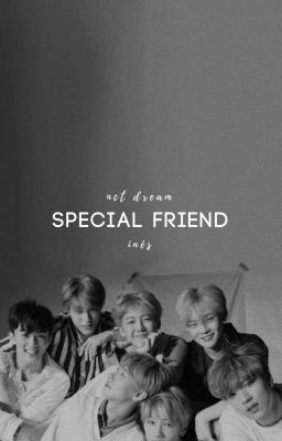 Special Friend » NCT Dream (pocket size books)