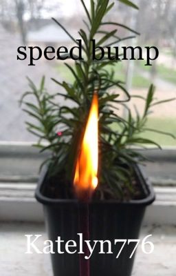 speed bump