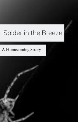 Spider in the Breeze | A Homecoming Story