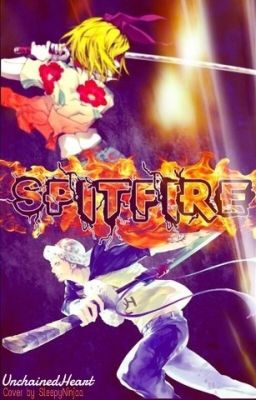 Spitfire [A One-Piece Fan-fic]