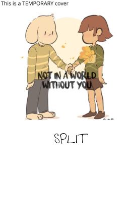 SPLIT