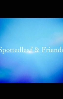 Spottedleaf & Friends Random Talk Show 