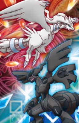 SSS Journal 26: Reshiram/Zekrom Alliance!