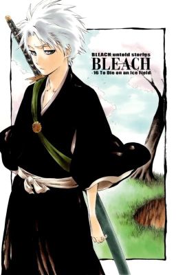 Stable ground (Bleach fanfic)