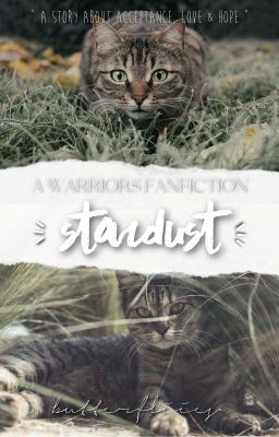 STARDUST | A WARRIORS FANFICTION