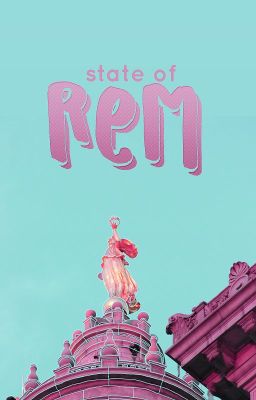 state of rem | an updates book