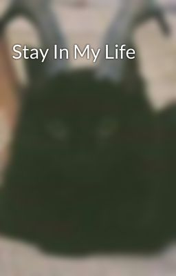 Stay In My Life 