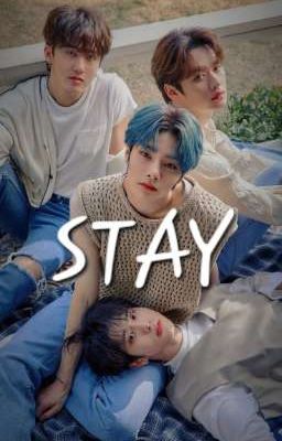 Stay (SKZ x Reader)