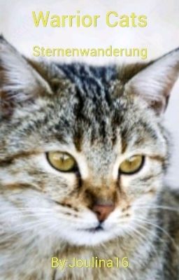 Sternenwanderung Warrior Cats