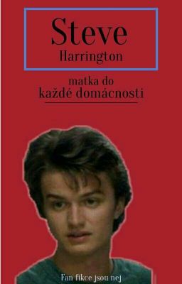 Steve Harrington, matka do každé domácnosti