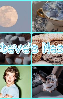 Steve's Nest 