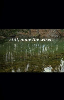 still, none the wiser (poetry)