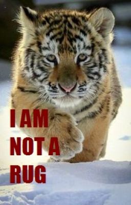 Stop Tiger Poaching